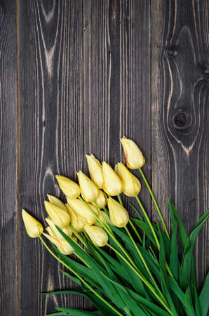 Spring background with bunch of tulip flowers, copy space. Yellow tulips on wooden background. Flat lay, top view. Holiday greeting card for Valentine's Day, Woman's Day (March 8, Mother's Day, Easterの写真素材