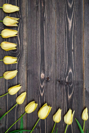 Yellow tulip flowers border on wooden background. Spring background with tulips, copy space. Flat lay, top view. Holiday greeting card for Valentine's Day, Woman's Day (March 8), Mother's Day, Easterの写真素材