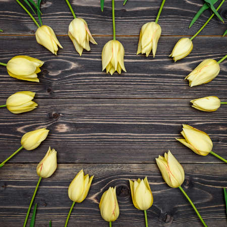 Heart from yellow tulip flowers on rustic background, copy space. Flat lay, top view. Holiday greeting card for Valentine's Day, Woman's Day (March 8, Mother's Day, Easter. Spring backgroundの写真素材
