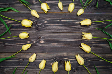 Round frame of yellow tulip flowers on rustic background, copy space. Spring background. Holiday greeting card for Valentine's Day, Woman's Day (March 8), Mother's Day. Top view, flat layの写真素材