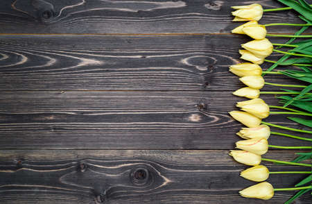 Yellow tulip flowers border on wooden background. Spring background with tulips, copy space. Flat...