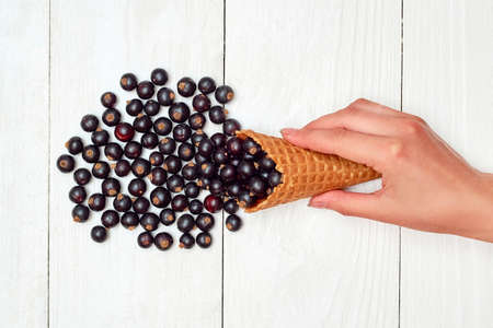 Woman holding in hand ice cream waffle cone with ripe sweet black currant, copy space. Fresh berries on white wooden background, close up. Summer and healthy food concept. Top view, flat layの写真素材