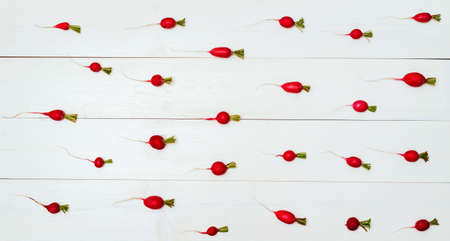 Fresh garden organic radish on white wooden background, copy space. Freshly harvested red radish. Vegetables background. Top view, flat layの写真素材