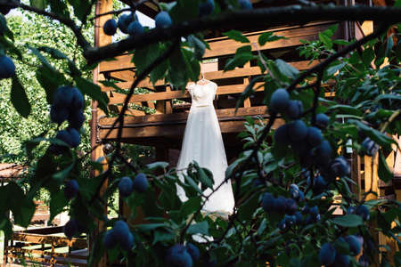 Beautiful wedding dress hanging on the balcony of wooden house outdoors with plum tree; free spaceの写真素材