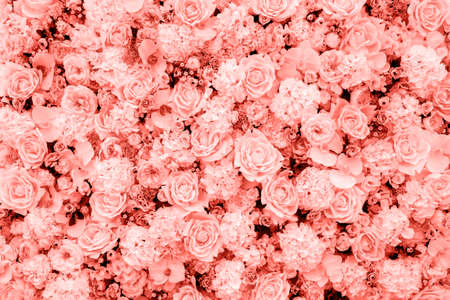 Living Coral background made of roses and many flowers, copy space. Color of the year 2019. Nature floral background. Top view, flat lay. Valentine's Day, Woman's Day (March 8), Mother's Day, birthdayの写真素材