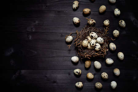 Quail eggs in nest on rustic wooden background, copy space. Healthy food concept. Top view, flat...