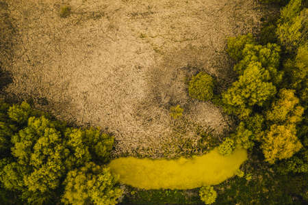top view of a mysterious scary lake, a strange place with unusual energy in the green northern forests. Topshot - Aerial Flightの写真素材