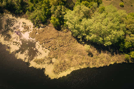 lake surrounded by green spring forest. top view of a mysterious lake covered with green algae - Aerial Flightの写真素材
