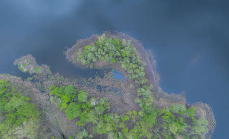 top shot. small peninsula. the river and its canals surrounded by oaks. water is covered with algae...