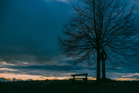 lonely bench in silhouette. empty bench at sunset. silhouette of a bench under a tree on a hill at sunsetの写真素材