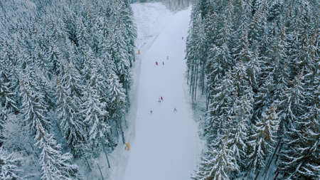 Aerial view of snowy skier snowboarder ride on a mountain track, ski slopes in the forested area in mountains. Top view of tracks near trees and ski resort in winter season. footage in 4Kの写真素材