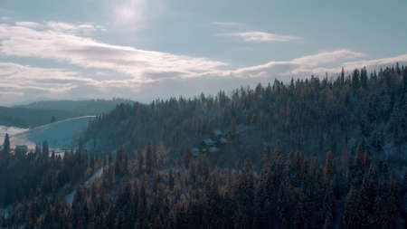 cozy forest houses hidden in the forest in the mountains. evergreen trees. top view, top shot. Aerial view of forest in Ukraine. nature background footage in 4K resolutionの写真素材