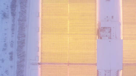 Aerial side view of large industrial greenhouses for growing plants in winter. light pollution....