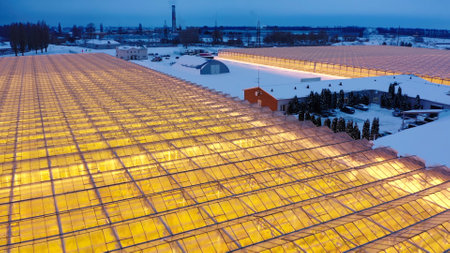 Aerial side view of large industrial greenhouses for growing plants in winter. light pollution. winter day at sunset. Flying along modern plantation glasshouse area. growing plants vegetables flowersの写真素材