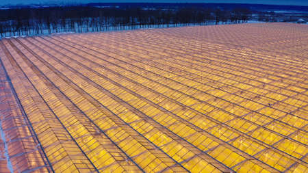 Aerial side view of large industrial greenhouses for growing plants in winter. light pollution....