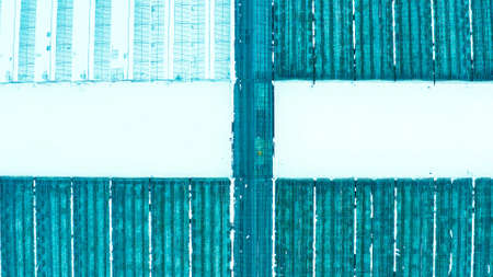 Aerial side view of large industrial greenhouses for growing plants in winter. light pollution. winter day at sunset. Flying along modern plantation glasshouse area. growing plants vegetables flowersの写真素材