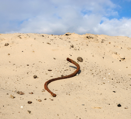 Metal wire on the sand. Beach, blue sky.の写真素材