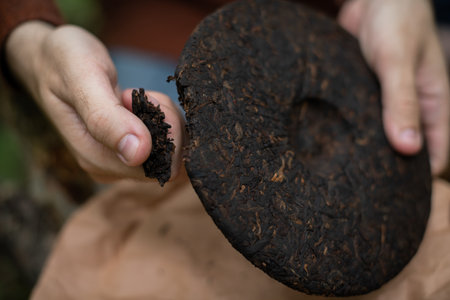 Close up of man breaking off piece of pressed shu puer tea outdoorsの写真素材