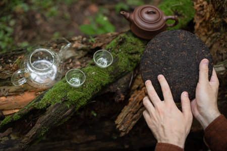 Man holding pressed shu puer near tea bowls, clay tea pot and cha hai in forestの写真素材