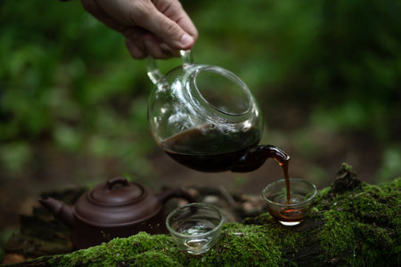 Man holding cha hai while poring shu puer in tea bowls near clay teapot in forestの写真素材