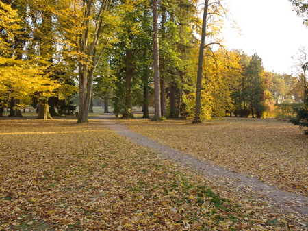 Cozy path in the autumn park of Zhambeck town, falling leaves, great viewの写真素材