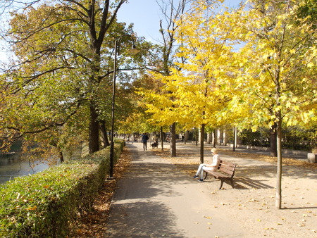Cute autumn park in wroclaw, a great location for meetings and walksの写真素材
