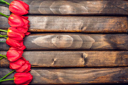 Tulips. Red tulips on a background of dark boards. Spring flowers. Springtime. Vintage processing. Space for text.の写真素材