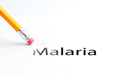Closeup of pencil eraser and black malaria text. Malaria. Pencil with eraser.の写真素材