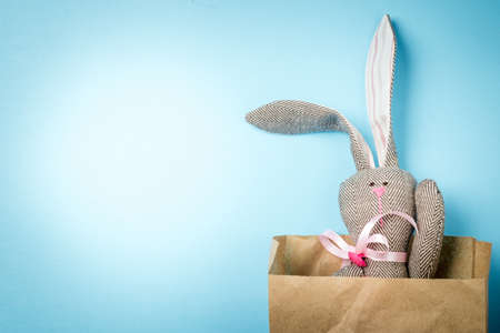 Easter bunny in a packetの写真素材