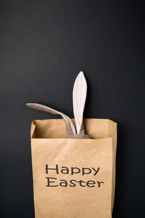 Easter bunny in a packetの写真素材