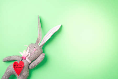 Easter bunny on a green backgroundの写真素材