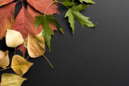 Beautiful autumn backgroundの写真素材