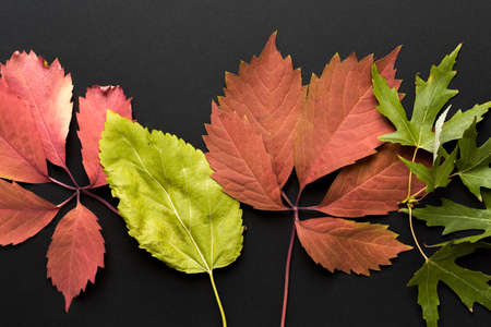 Beautiful autumn backgroundの写真素材