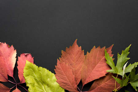 Beautiful autumn backgroundの写真素材