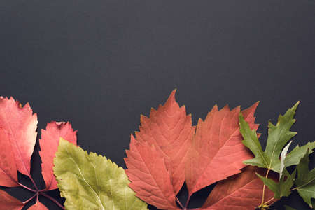 Beautiful autumn backgroundの写真素材