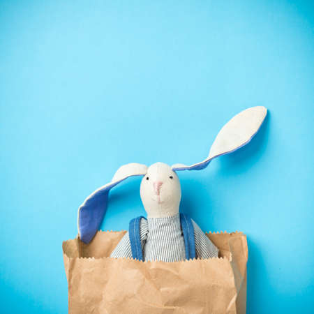 Easter bunny in a packetの写真素材