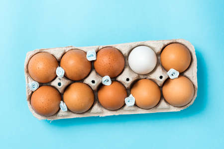 Brown Easter eggs in an eco carton pack