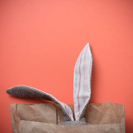 Easter Bunny in a paper bag on the background of the color of coral.の写真素材