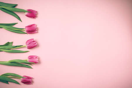 Spring tulips lie on a beautiful pink background. Background for International Women's Day.の写真素材