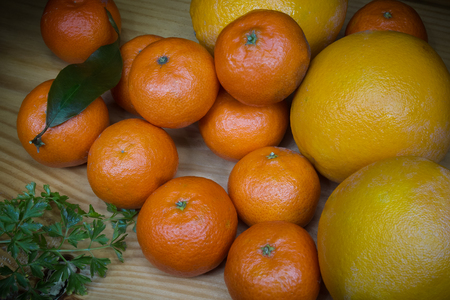 Spruce Juicy Fruits - Tangerines and Orangesの写真素材