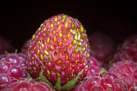 Close-up of fresh ripe fruit strawberryの写真素材