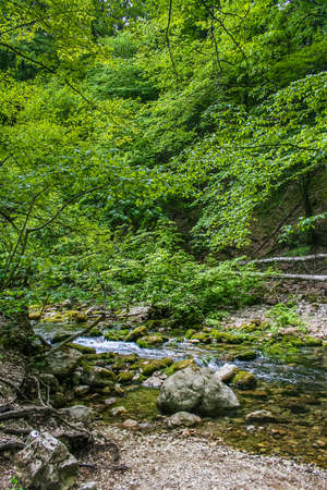 The Grand Canyon near the village Sokolyniy the Bakhchsarai area. Crimea, Ukraine. May 2008のeditorial素材