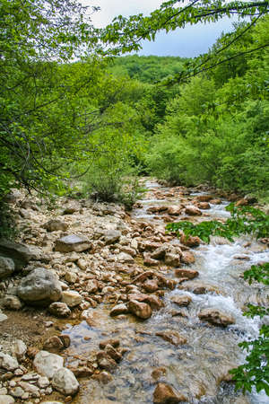 The Grand Canyon near the village Sokolyniy the Bakhchsarai area. Crimea, Ukraine. May 2008のeditorial素材