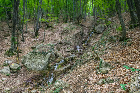 The Grand Canyon near the village Sokolyniy the Bakhchsarai area. Crimea, Ukraine. May 2008のeditorial素材