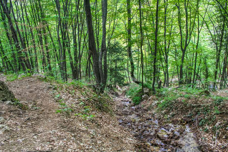 The Grand Canyon near the village Sokolyniy the Bakhchsarai area. Crimea, Ukraine. May 2008のeditorial素材