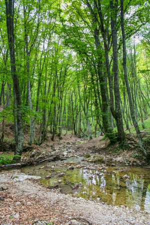 The Grand Canyon near the village Sokolyniy the Bakhchsarai area. Crimea, Ukraine. May 2008のeditorial素材