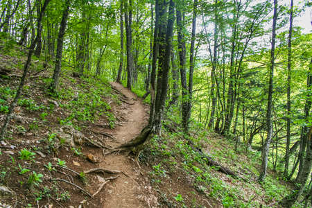 The Grand Canyon near the village Sokolyniy the Bakhchsarai area. Crimea, Ukraine. May 2008の写真素材