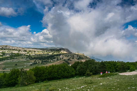 Mountain flower Crimean Androsace (Androsace taurica, family Primulaceae).The top of the mountain Ai-Petri, Crimea, Ukraine. May 2008の写真素材