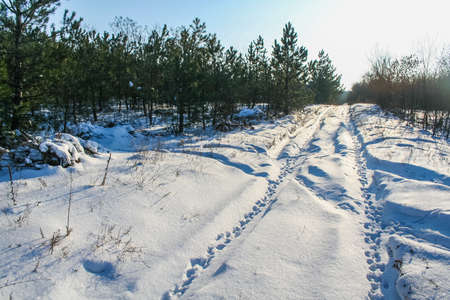 Winter in the Ukrainian steppe. Zaporozhye region, Ukraine. January 2009