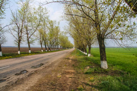 The road from Pavlovsk to Mariyanka. Donetsk region, Ukraine. May 2009の写真素材